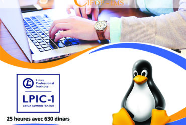 Formation Linux LPIC-1