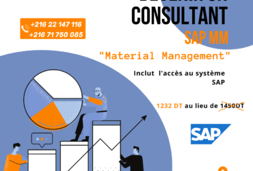 Formation SAP MM : Material Management