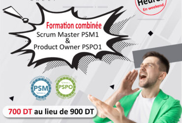Promo : Formation Scrum Master et Product Owner ( PSM / PSPO )